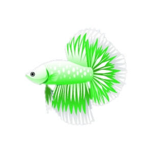 Green Dragon Betta